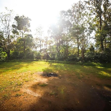 Misty Valley Hill Resorts Nelliyampathy Eksteriør bilde
